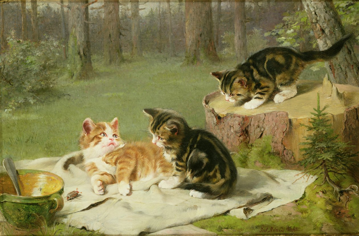 Kittens Playing by Ewald Honnef