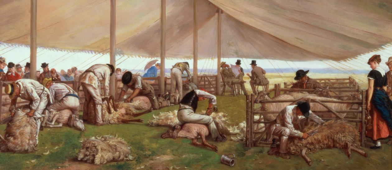 The Sheep Shearing Match, 1875 by Eyre Crowe