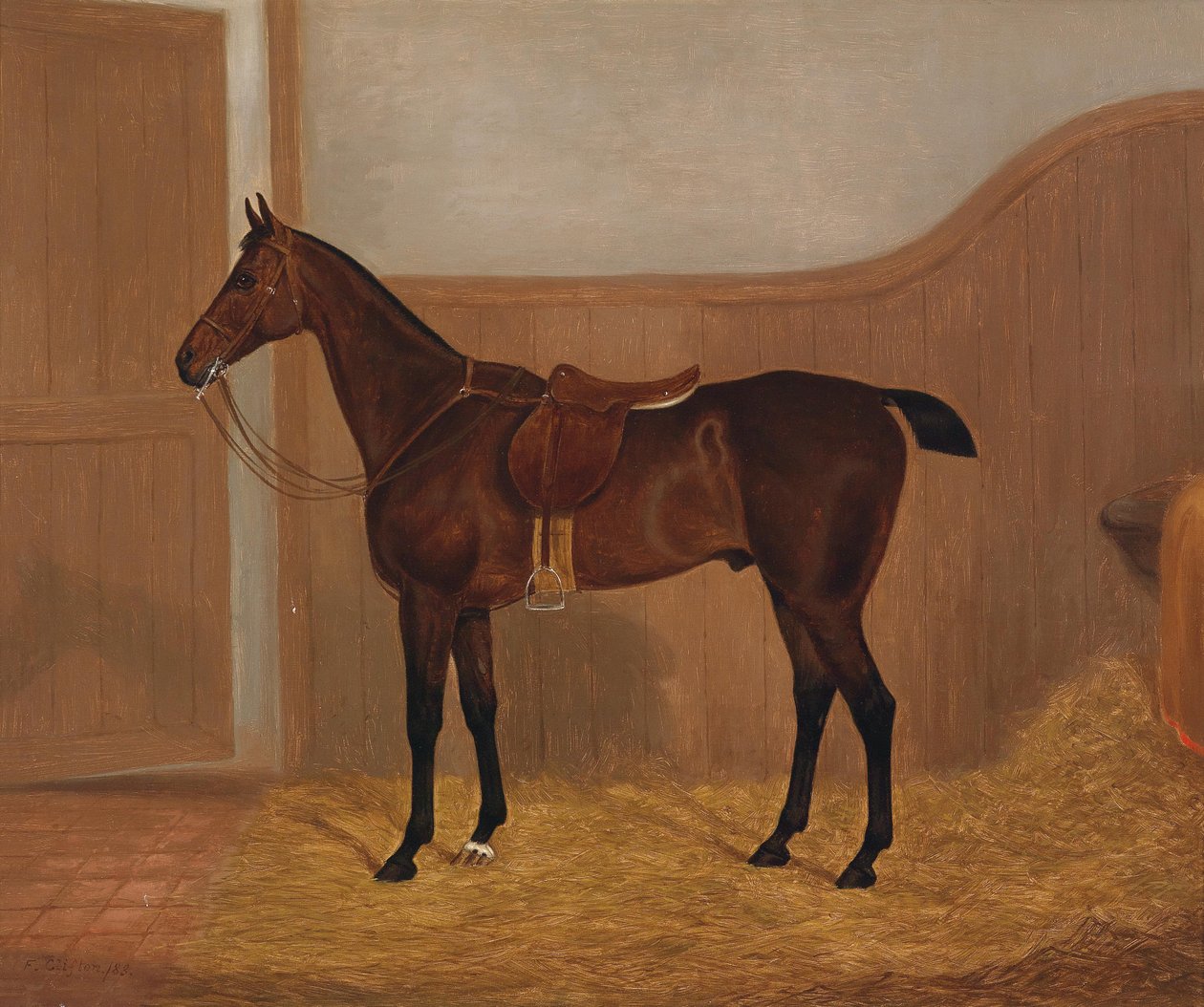 Horse Portrait (Fireland or Cocktail, One of Two Paintings Offered in a Lot with These Titles) by F. Clifton