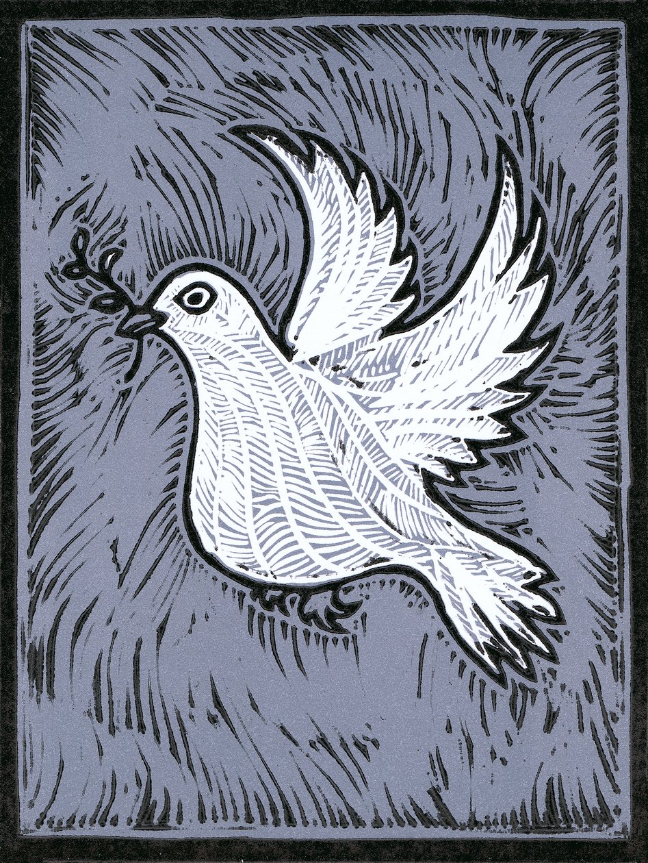 Dove of Peace by Faisal Khouja