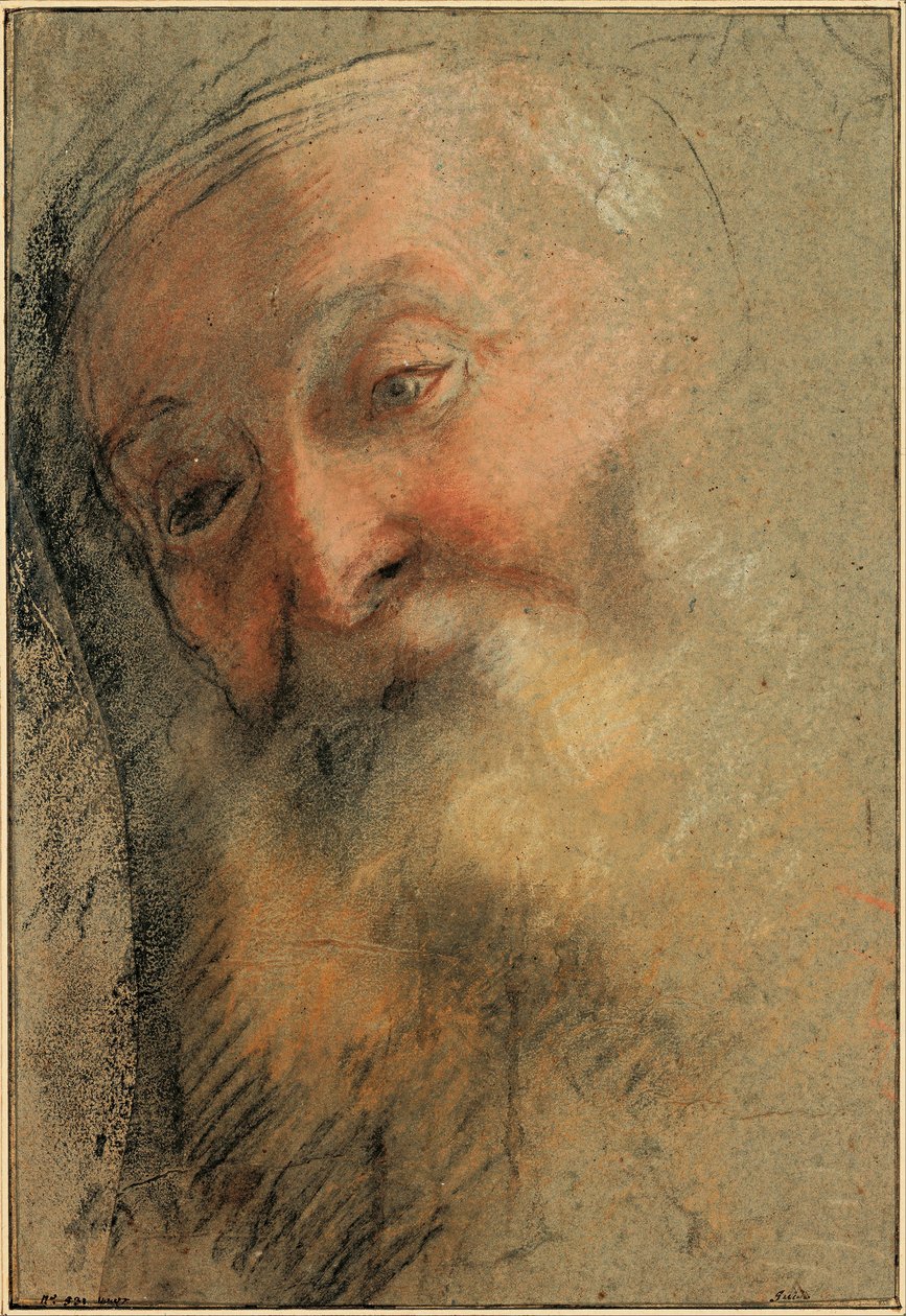 Head of an Old Bearded Man by Federigo Barocci