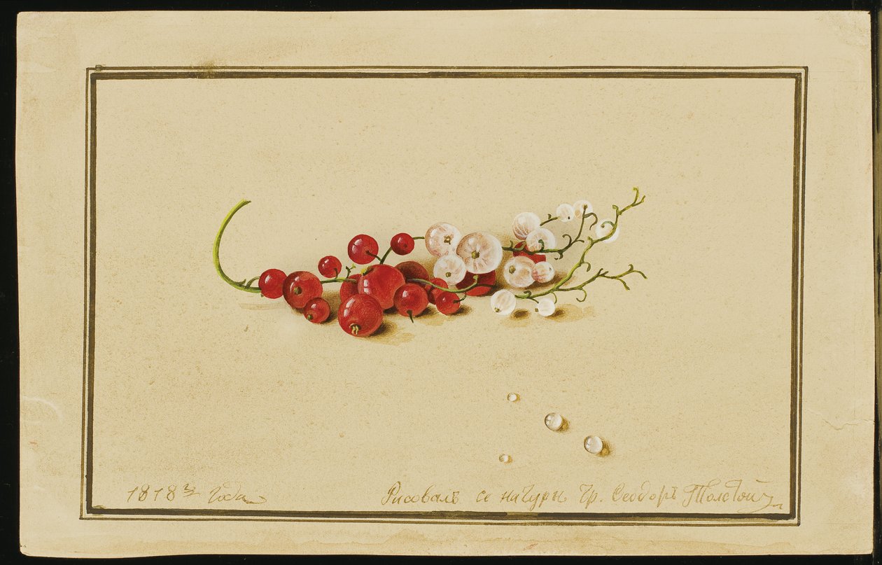 Red and White Currants by Fedor Petrovich Tolstoy