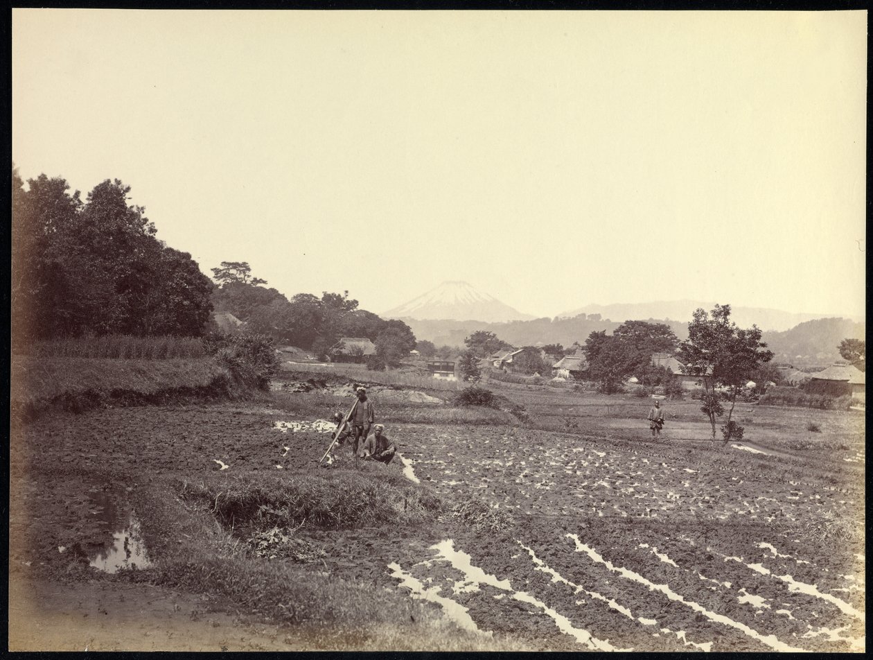 Fujiyama from the New Road by Felice Beato