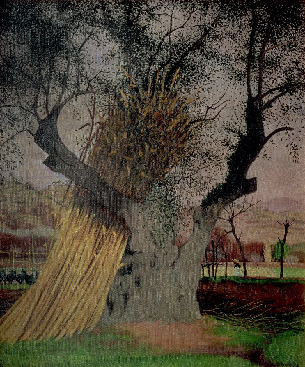 The Old Olive Tree by Felix Edouard Vallotton
