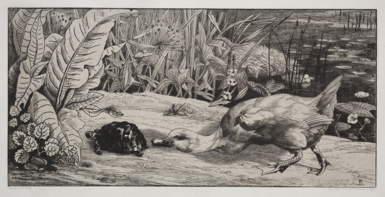 An Unknown by Felix Bracquemond
