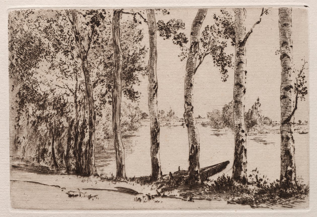 Aspens on the Bank of the Seine by Felix Bracquemond