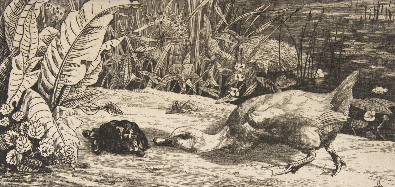 The Unknown by Felix Bracquemond