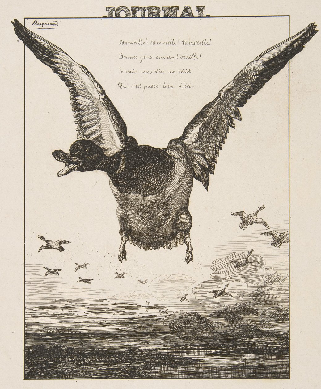 The Duck by Felix Bracquemond