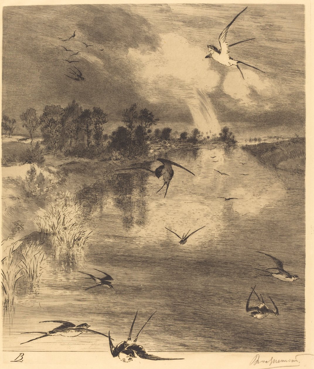 The Swallows by Felix Bracquemond