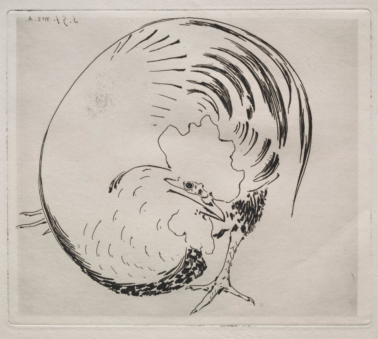 The High-Fired Service: Rooster, c. 1860 by Felix Bracquemond