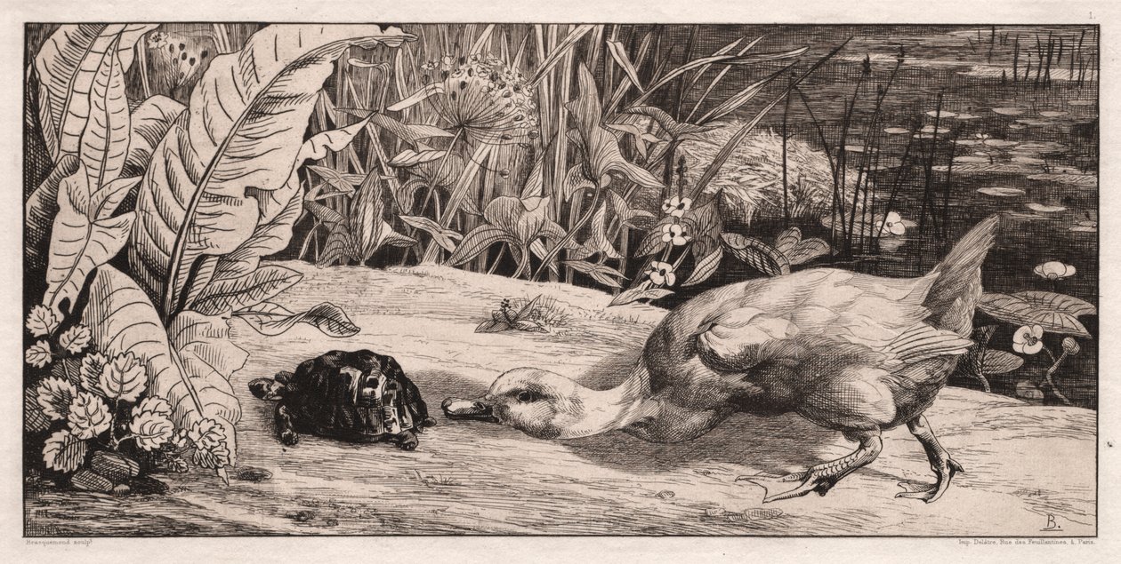 The Unknown by Felix Bracquemond