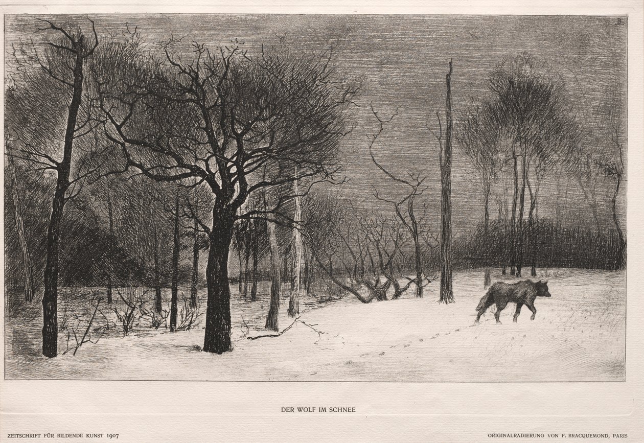 Winter by Felix Bracquemond