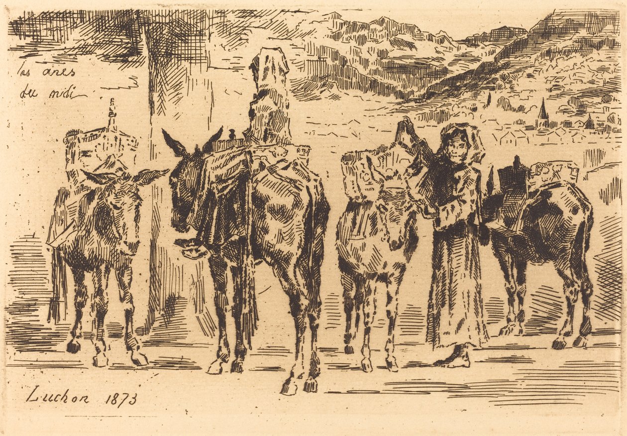 Leaves of Donkeys from the South by Felix Hilaire Buhot