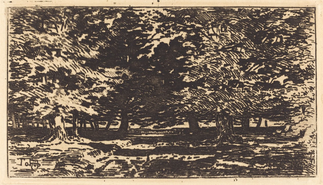 Forest by Felix Hilaire Buhot