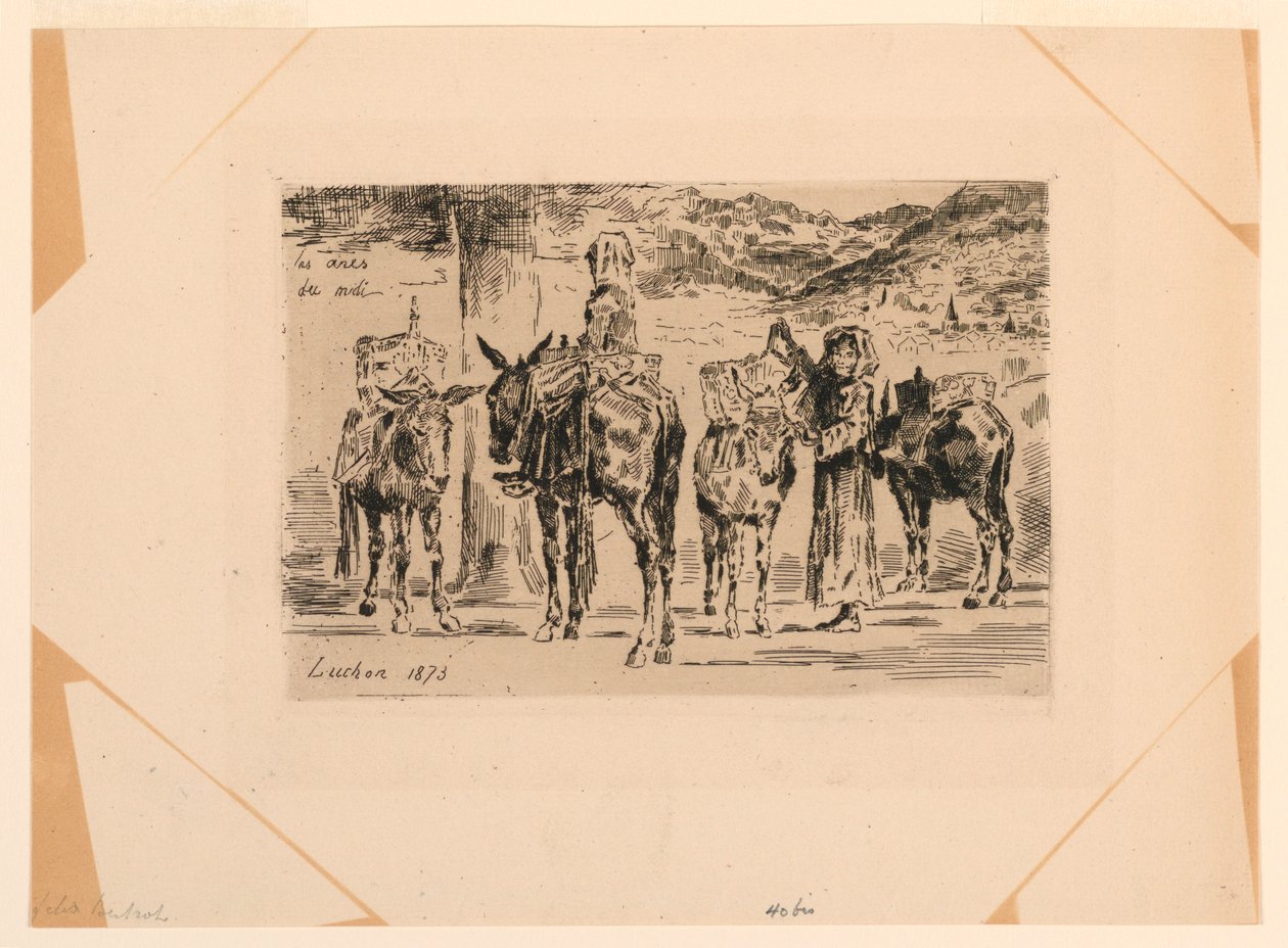 The Donkeys of the South by Felix Hilaire Buhot