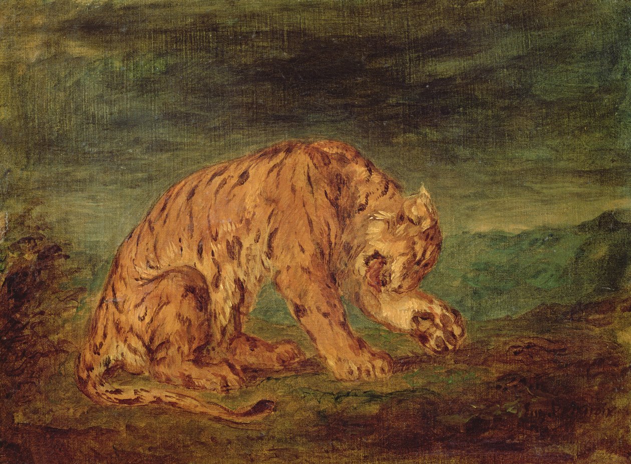 Tiger Licking a Paw by Ferdinand Victor Eugene Delacroix