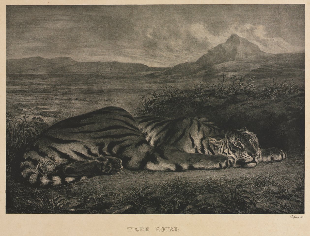 Royal Tiger by Ferdinand Victor Eugene Delacroix
