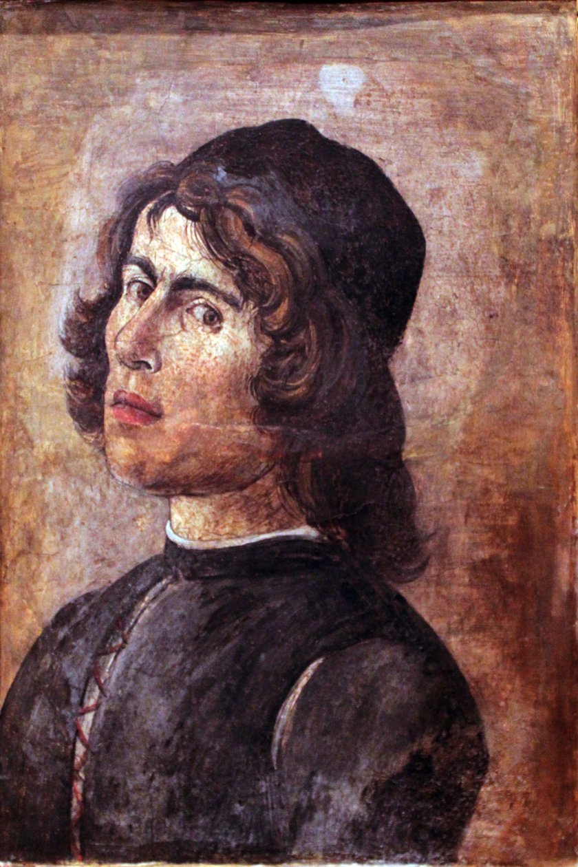 Portrait of a Young Man by Filippino Lippi