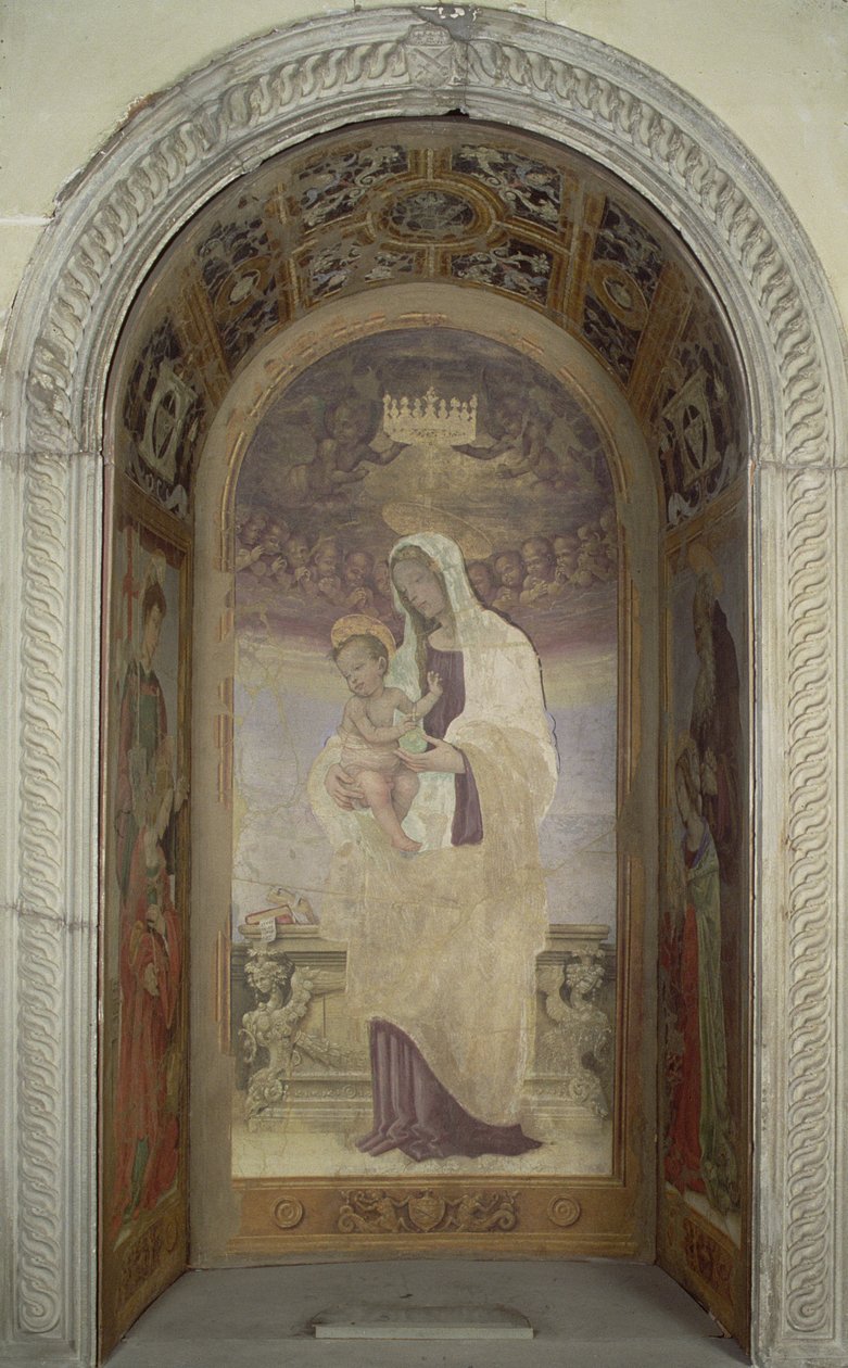Unknown Image by Filippino Lippi