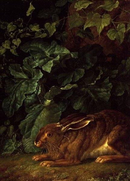 A Hare in Undergrowth by Filippo Hackert