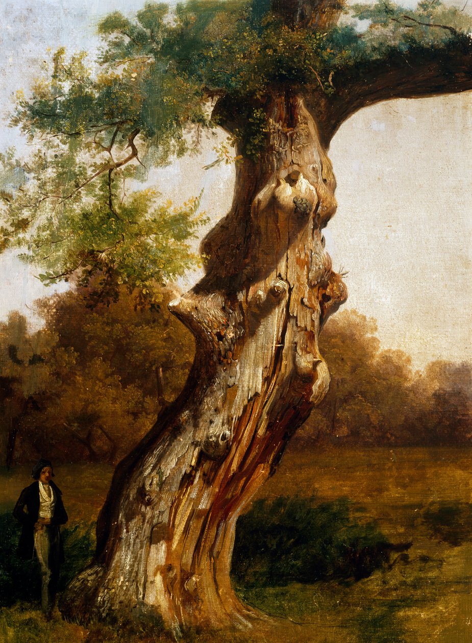 The Tree by Filippo Palizzi