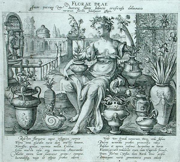 Flora by Flemish School