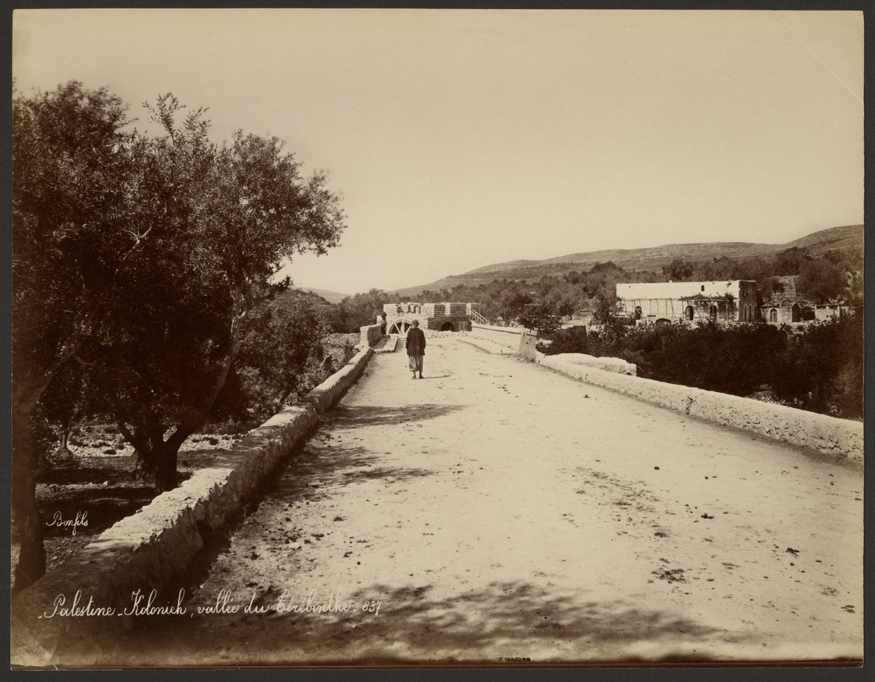 Palestine - Kolonick, Valley of the Terebinth by Félix Bonfils