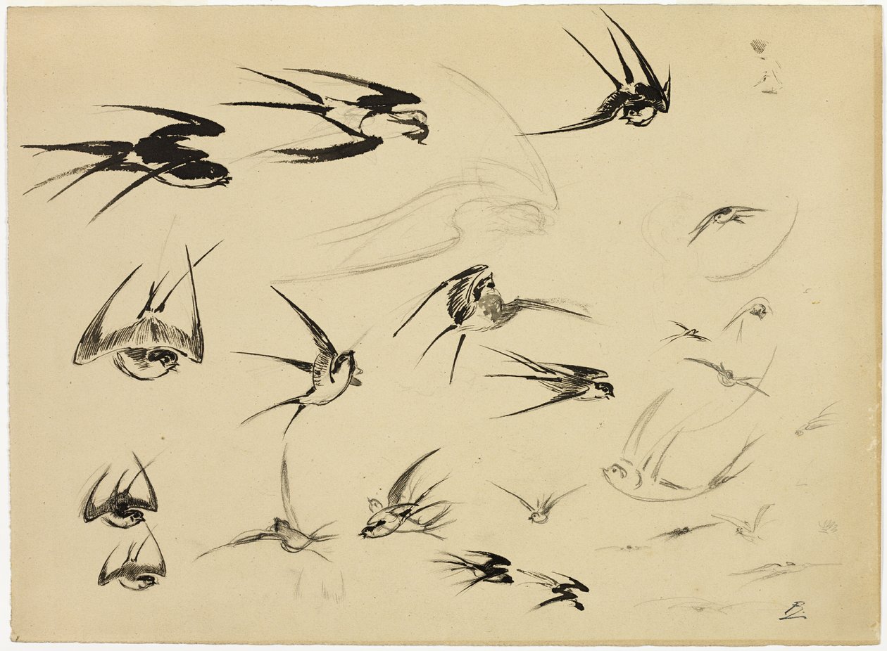 The Swallows by Félix Henri Bracquemond