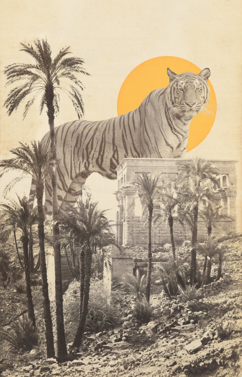 Giant Tiger in Ruins and Palms by Florent Bodart