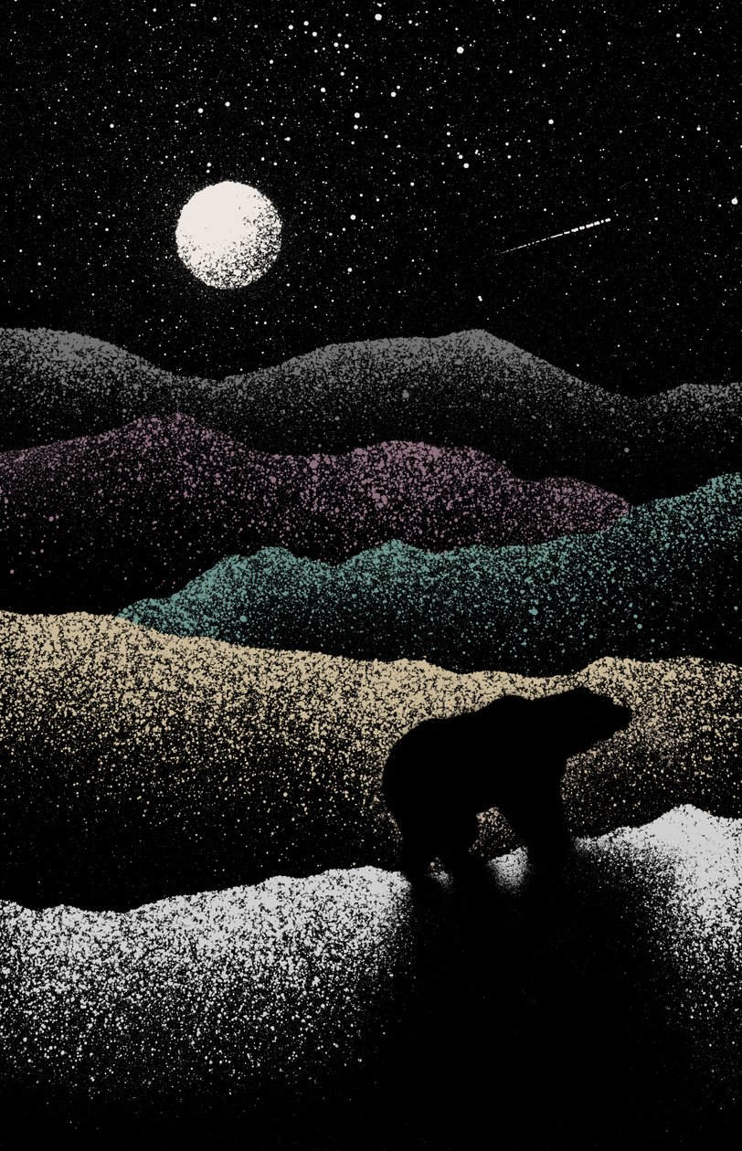 Wandering Bear by Florent Bodart