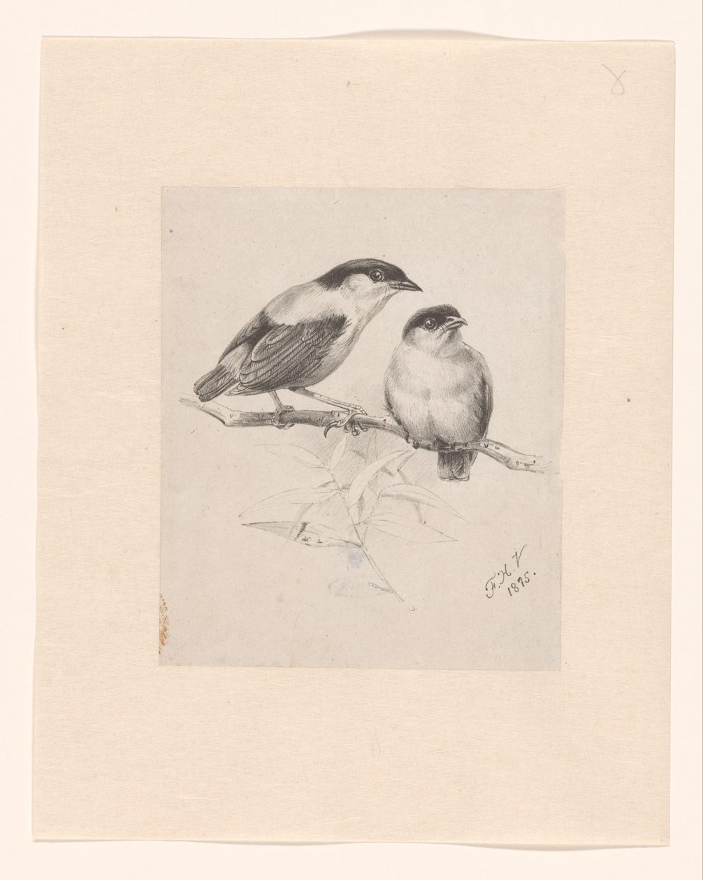 Two Tits on a Branch by Floris Verster