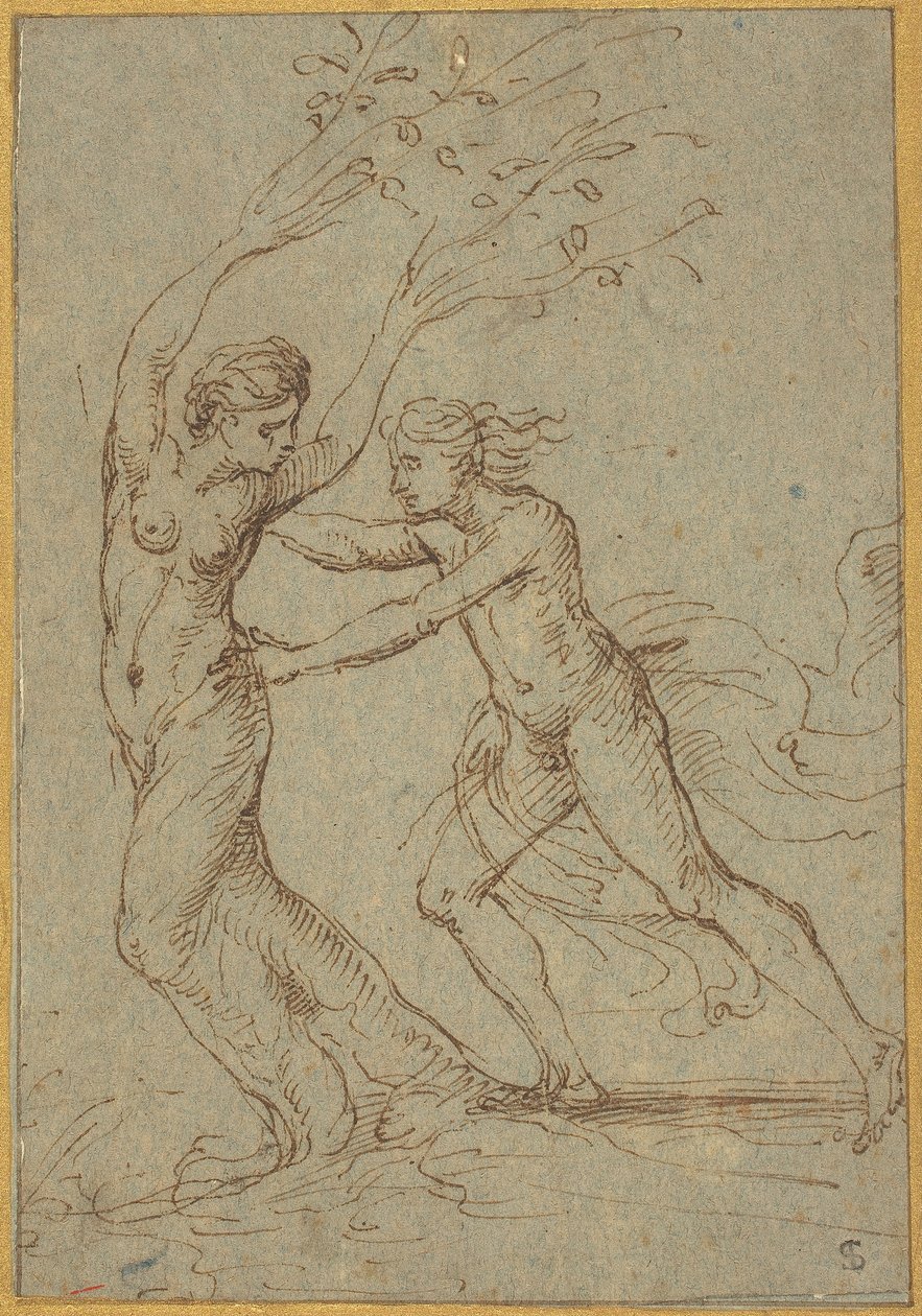 Apollo and Daphne by Follower of Giulio Romano