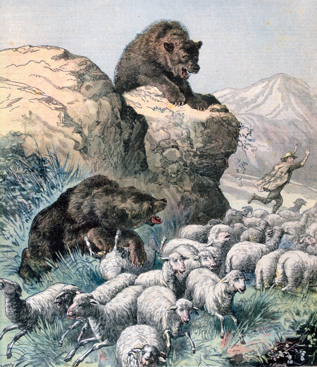 Bears of the Cagyre by Fortuné Méaulle