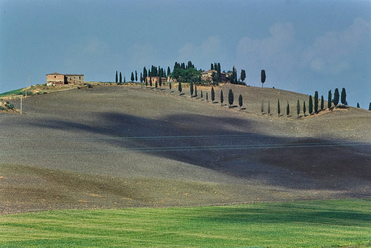 Tuscan Countryside by Fosco Maraini