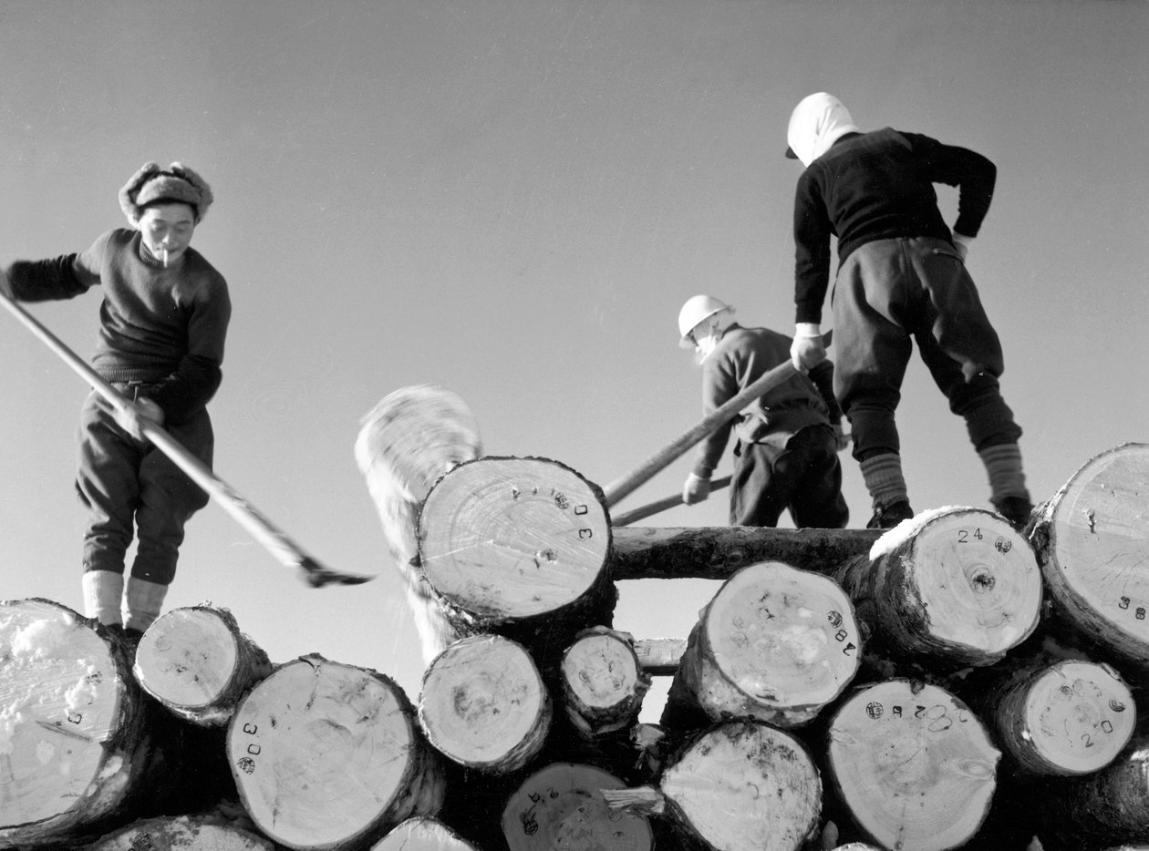Wood-Cutters at Work by Fosco Maraini