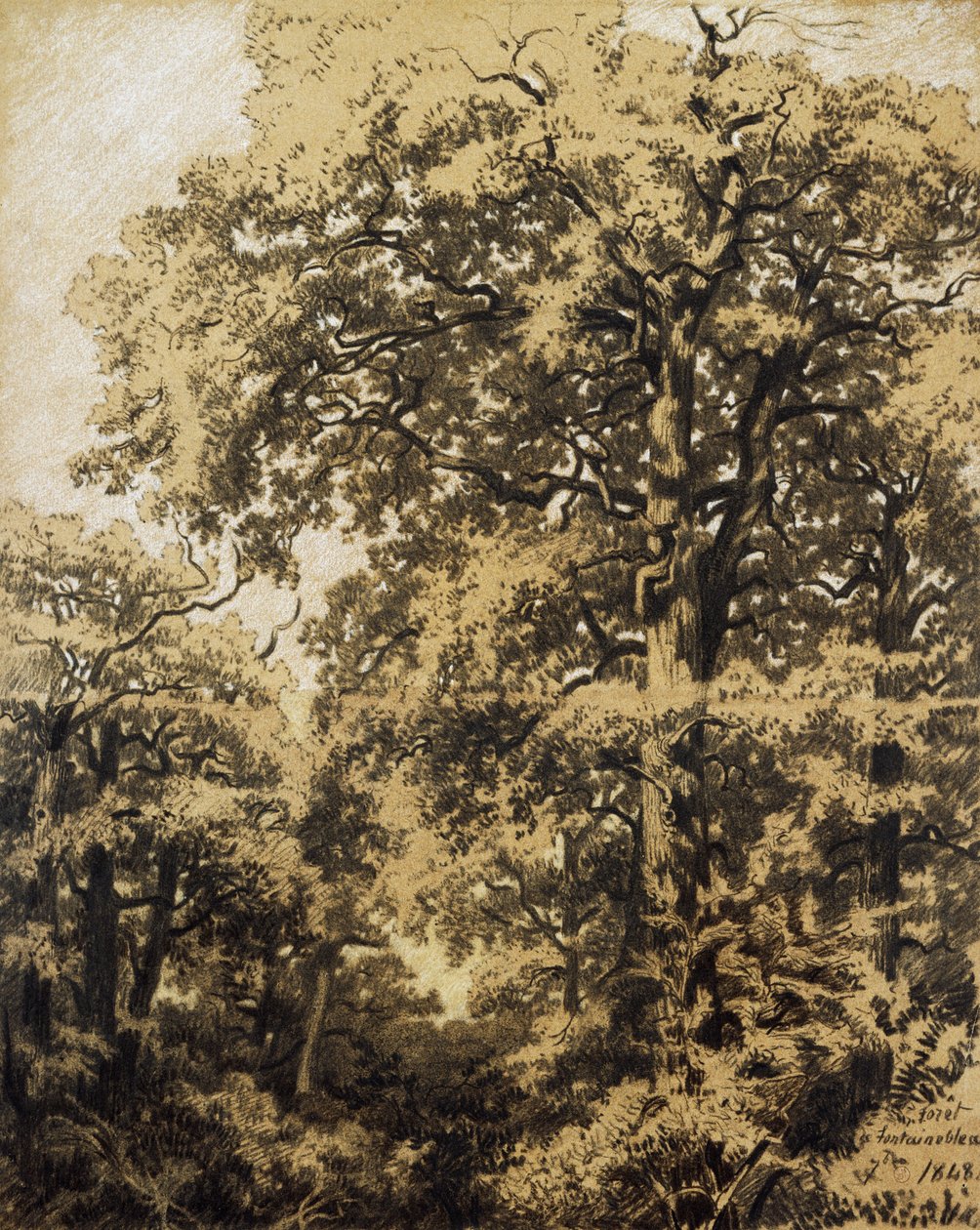 Forest of Fontainebleau by Francesco Gamba