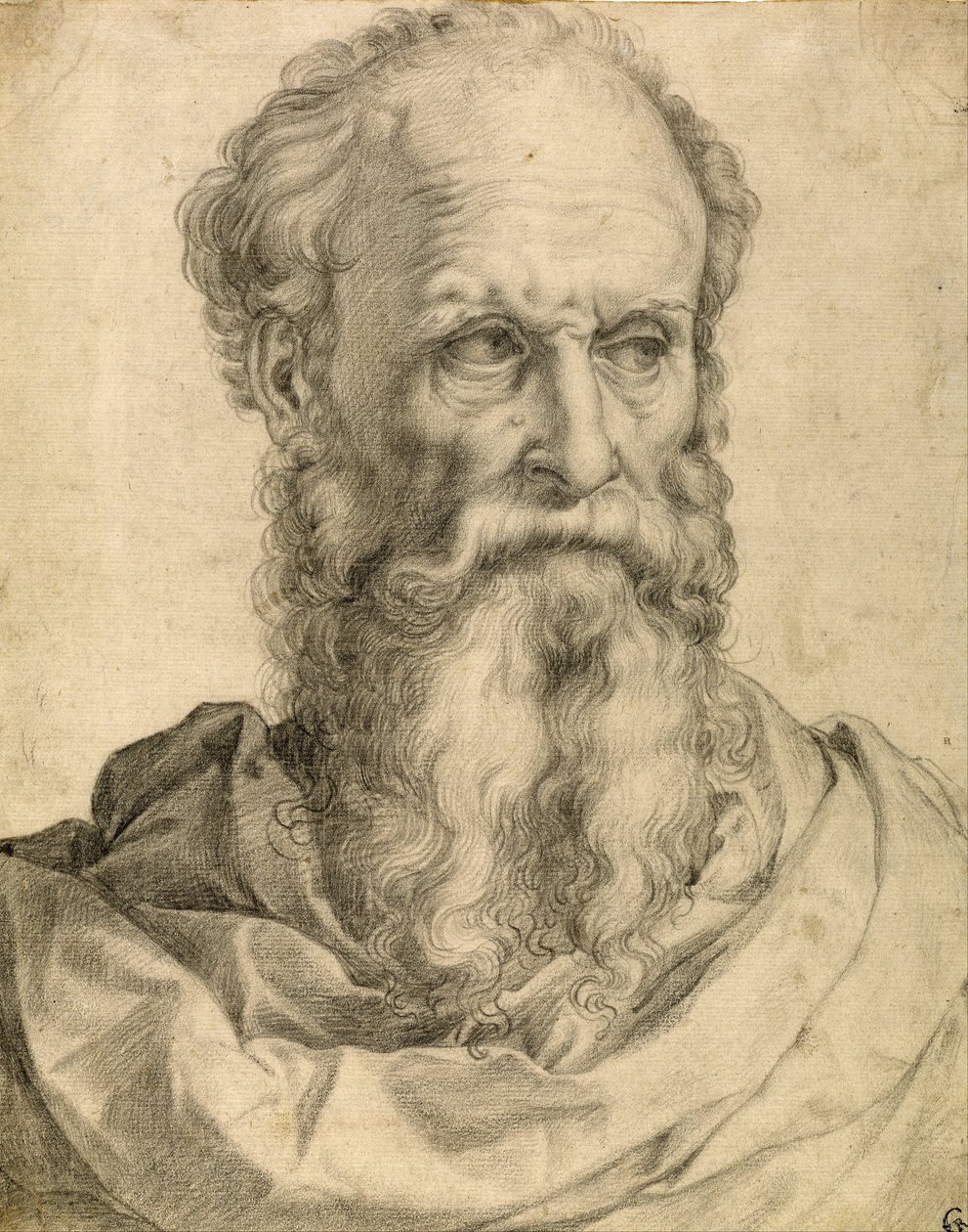 Head and Shoulders of a Bearded Man by Francesco Salviati