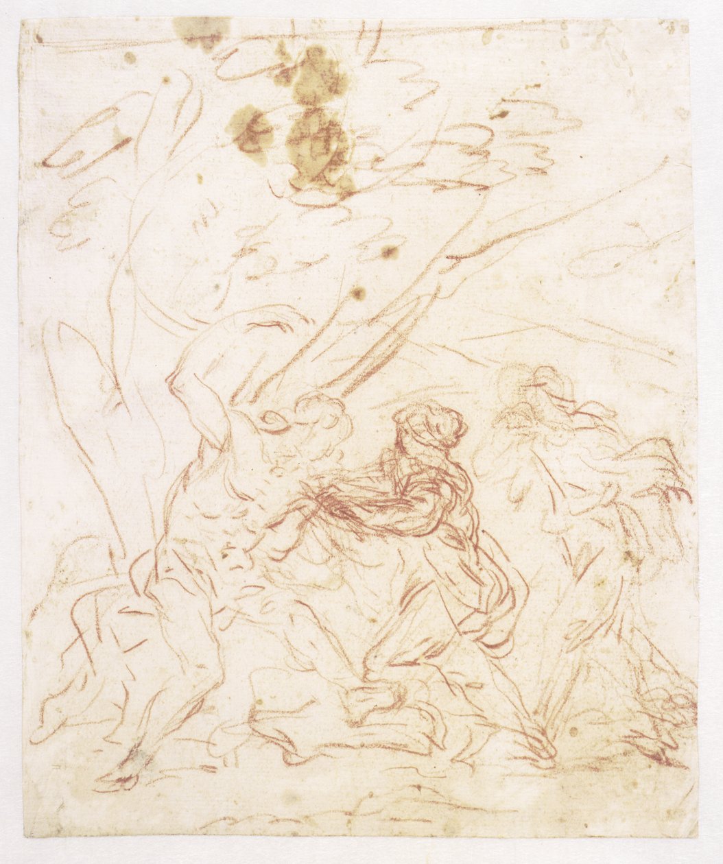 St Sebastian Nursed by St Irene by Francesco Solimena