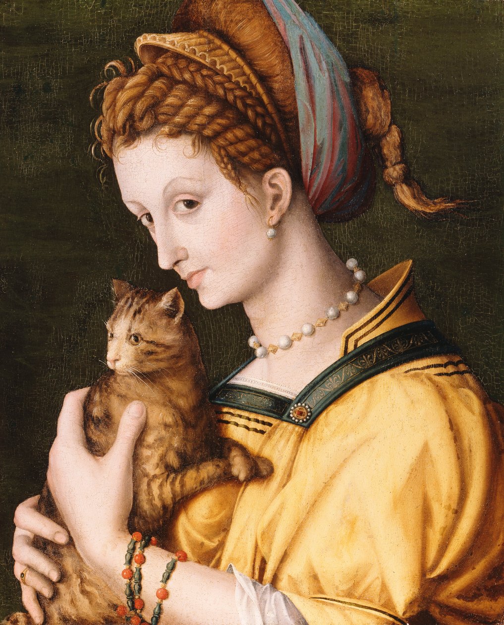 Lady With A Cat, c.1525-30 by Francesco Ubertini Bacchiacca