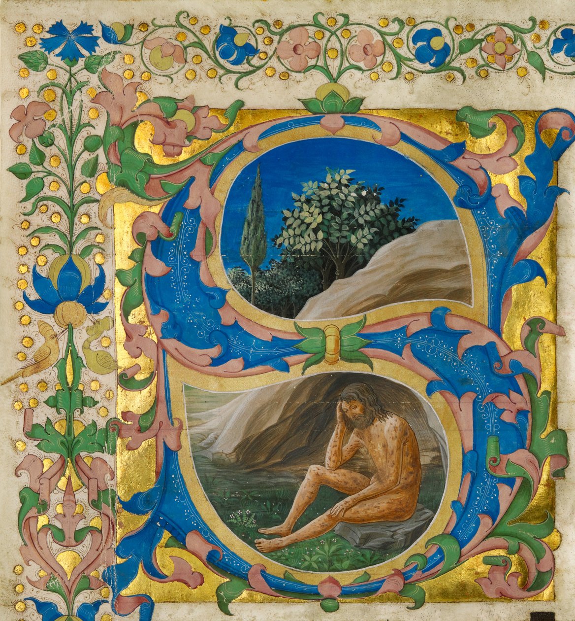 Initial S: Job by Francesco di Antonio del Chierico