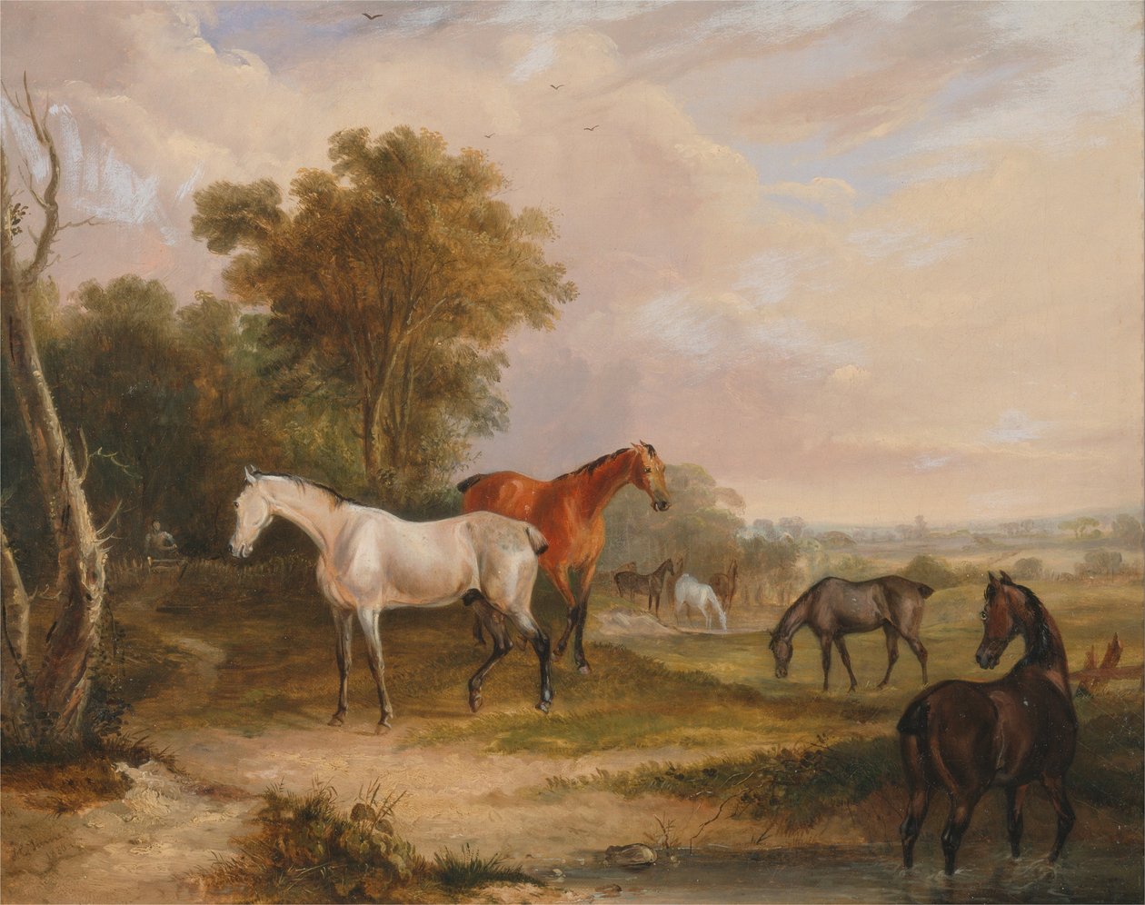 Horses Grazing- a Grey Stallion Grazing with Mares in a Meadow by Francis Calcraft Turner