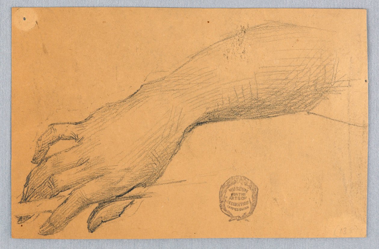 Study of Hand and Wrist by Francis Augustus Lathrop