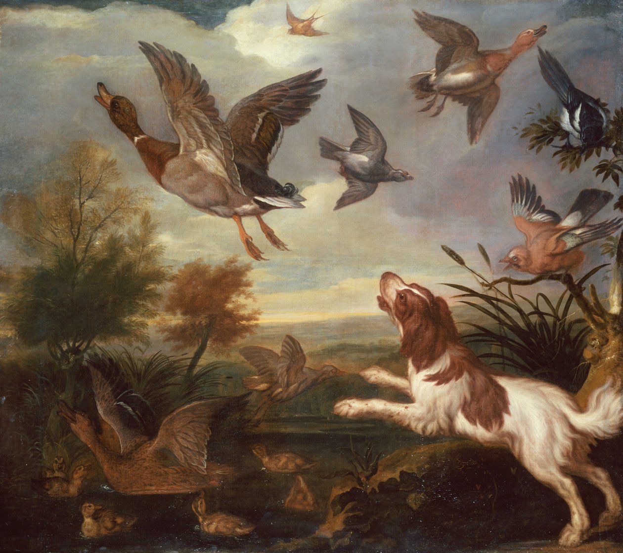 A Spaniel Flushing Mallard by Francis Barlow