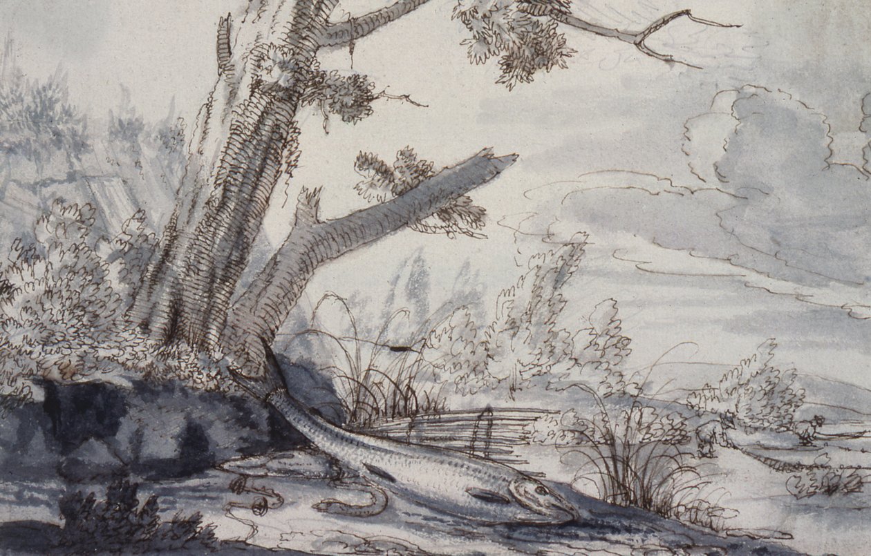 Fish on a Bank by Francis Barlow