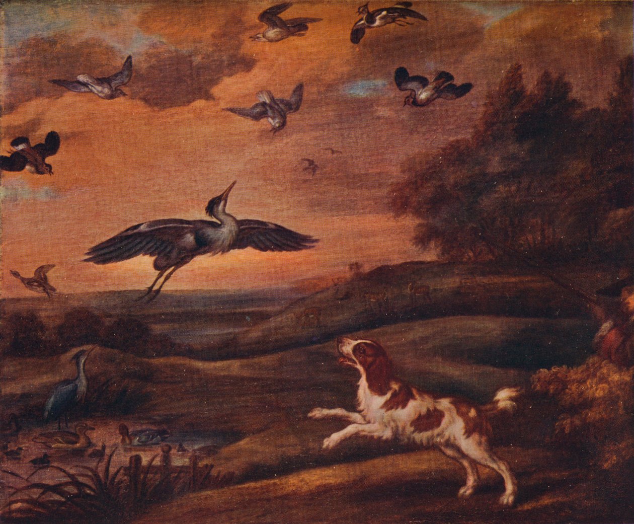 Shooting Plover by Francis Barlow