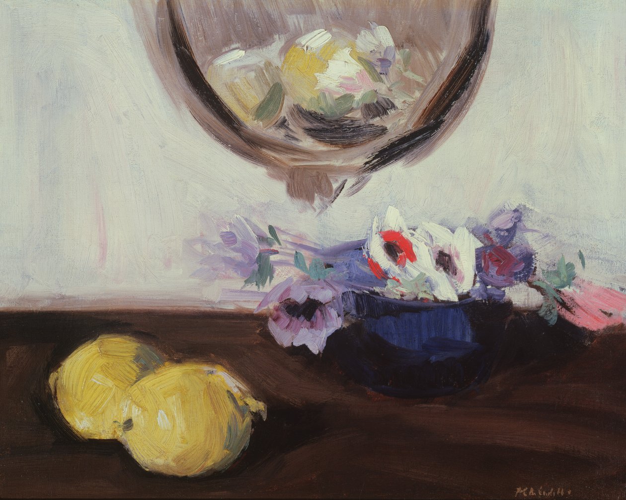 Anemones and Lemons by Francis Campbell Boileau Cadell