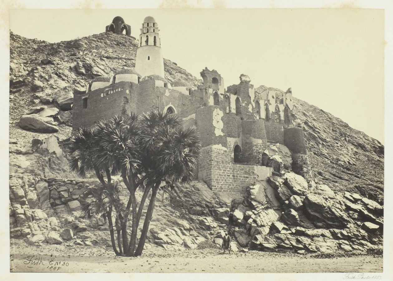 Doum Palm and Ruined Mosque, Philae by Francis Frith