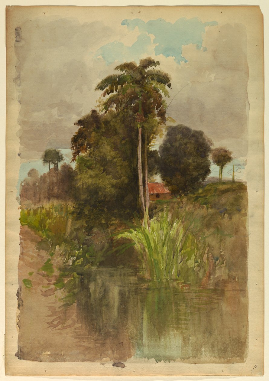 Study of Palm Trees by Francis Hopkinson Smith