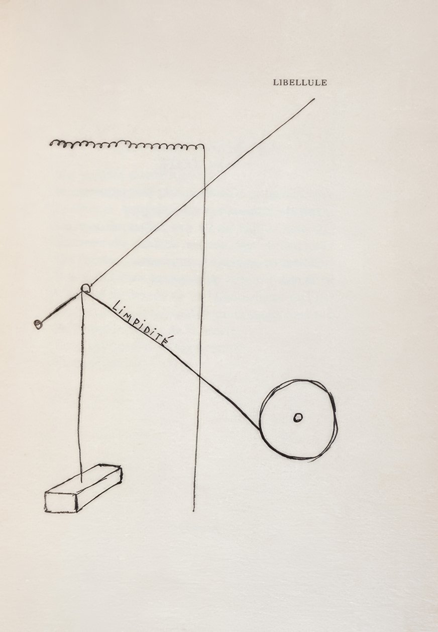Dragonfly by Francis Picabia