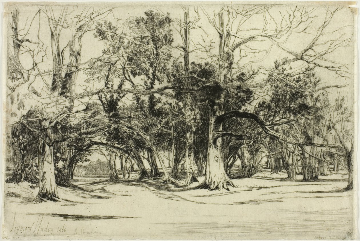 A By-Road in Tipperary by Francis Seymour Haden